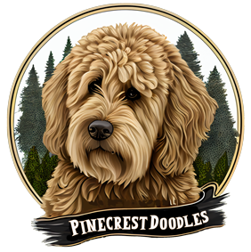 Pinecrest Doodles Logo